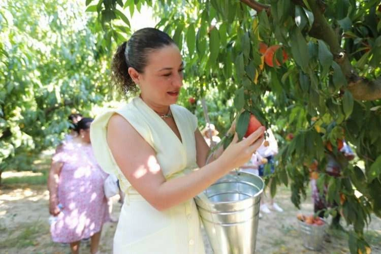 Selçuk'ta 'Şen Şeftali Şenliği' gerçekleştirildi haberinin görseli