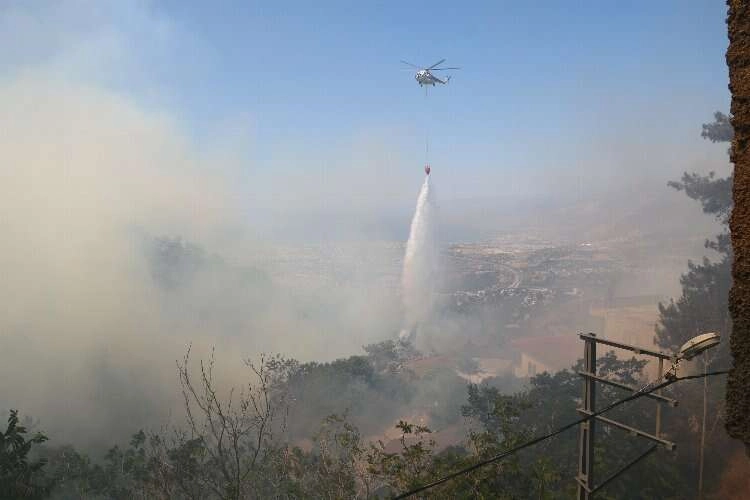 Hatay'daki yangın günler sonra söndürüldü