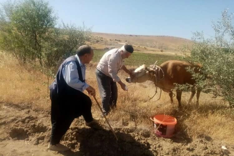Bayramda kesilmemek için kaçmıştı, 22 gün sonra bulundu haberinin görseli