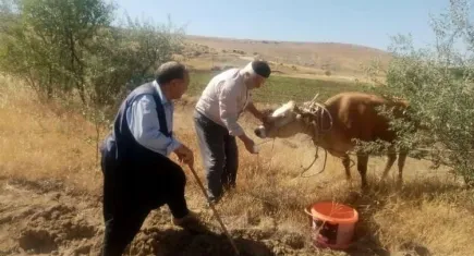 Bayramda kesilmemek için kaçmıştı, 22 gün sonra bulundu haberinin görseli