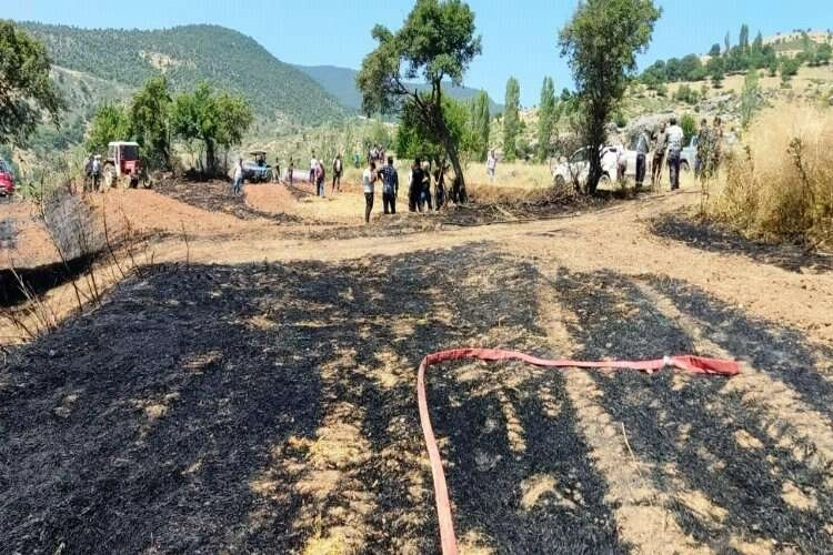 Balıkesir'de ormanlık alanda yangın çıktı haberinin görseli