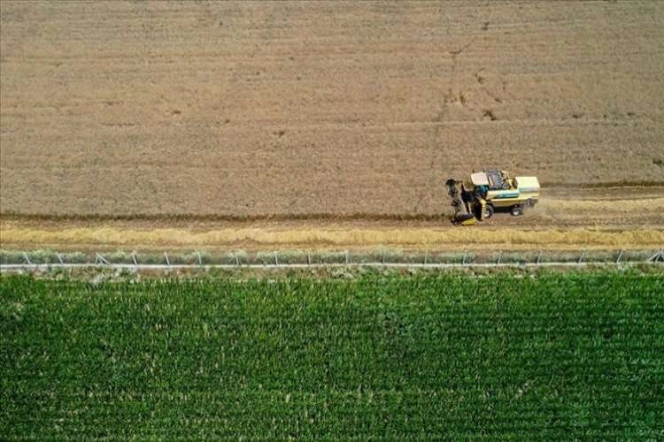 Tarım sektöründen ihracatta rekor yükseliş