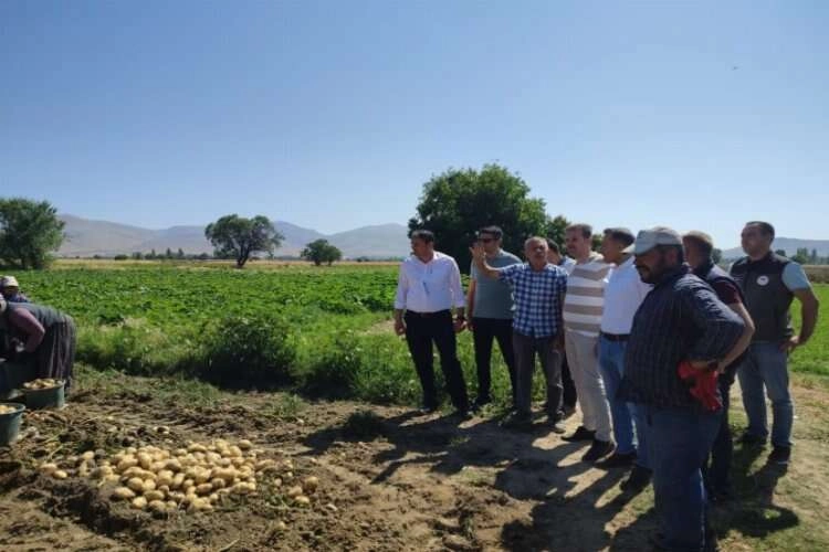 Yağışlar patatesi vurdu: Büyük rekolte kaybı! haberinin görseli
