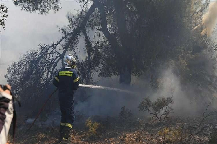 Komşuda son 24 saatte 46 orman yangını haberinin görseli