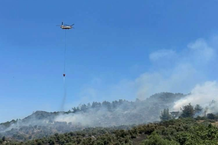 İzmir'de zeytinlik alanda yangın çıktı