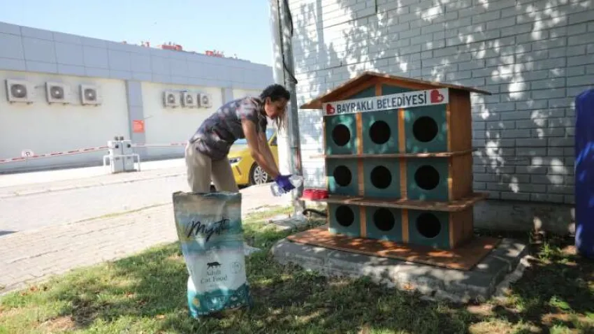 bir kap su_ilkses (1) (Özel)