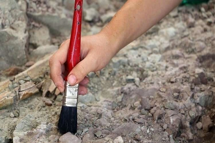 Çin'de 125 milyon yıl öncesine ait dinozor fosili bulundu