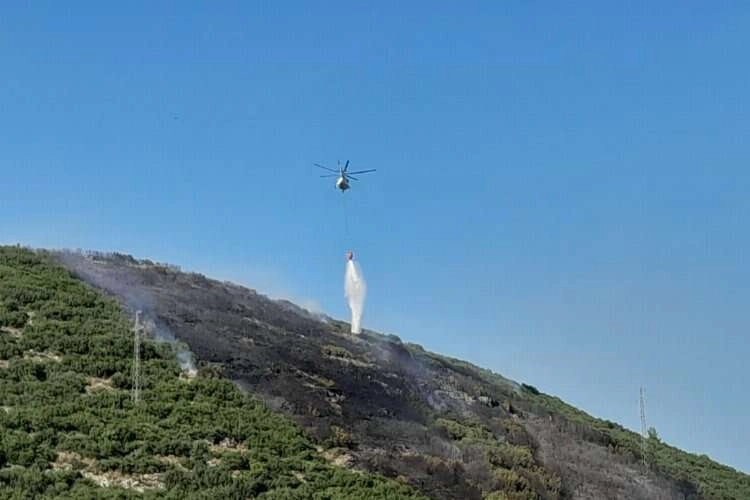 Muğla'da ormanlık alanda yangın haberinin görseli