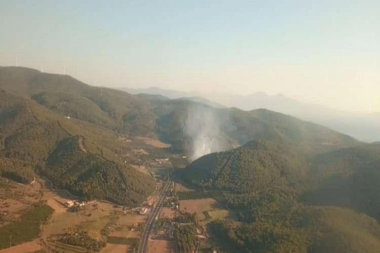 İzmir Selçuk'ta orman yangınına müdahale haberinin görseli