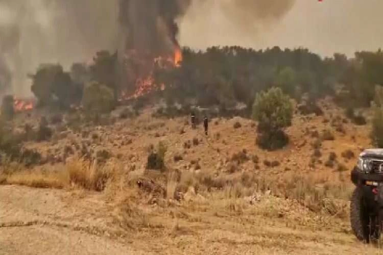 Yunanistan'da 24 saatte 66 yangın çıktı haberinin görseli
