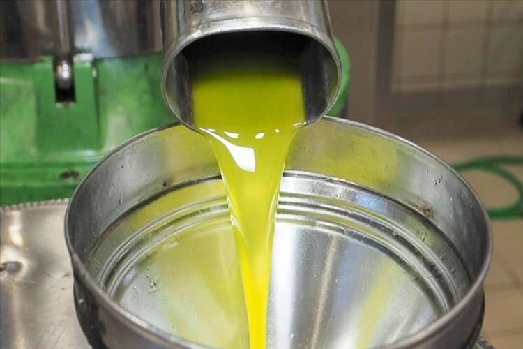 Zeytinyağı ihracatında prim kesintisi haberinin görseli