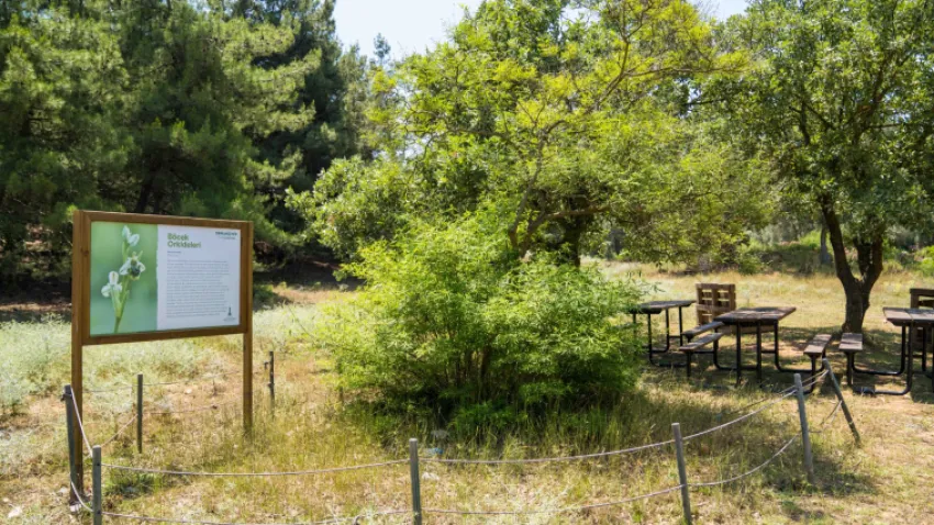 Olivelo Yaşayan Park_İLKSES (1) (Özel)