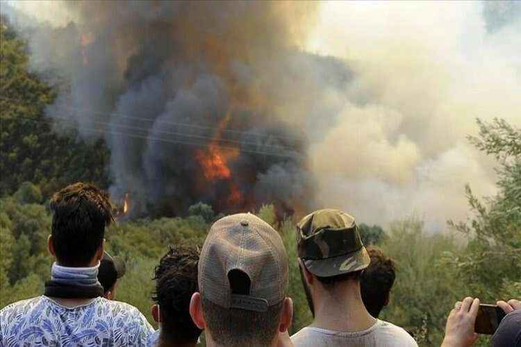 İsviçre'de orman yangını devam ediyor