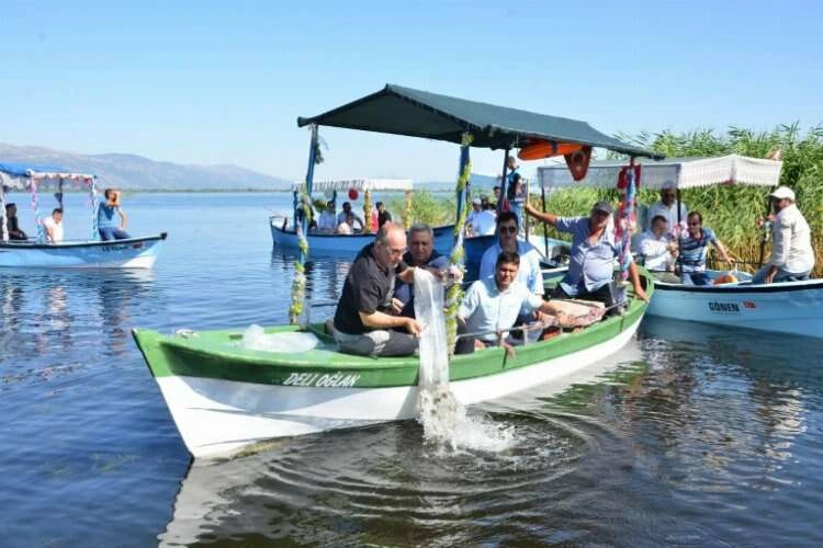 Denizli’de su kaynaklarına 765 bin sazan yavrusu bırakıldı haberinin görseli