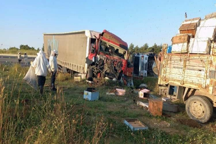 Bal üretimi için gittikleri yerde canlarından oldular haberinin görseli