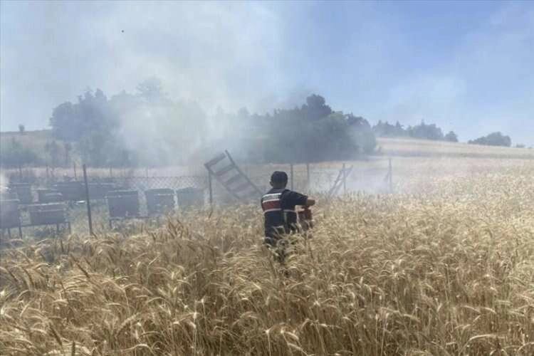 Kütahya'da otluk alanda yangın çıktı haberinin görseli