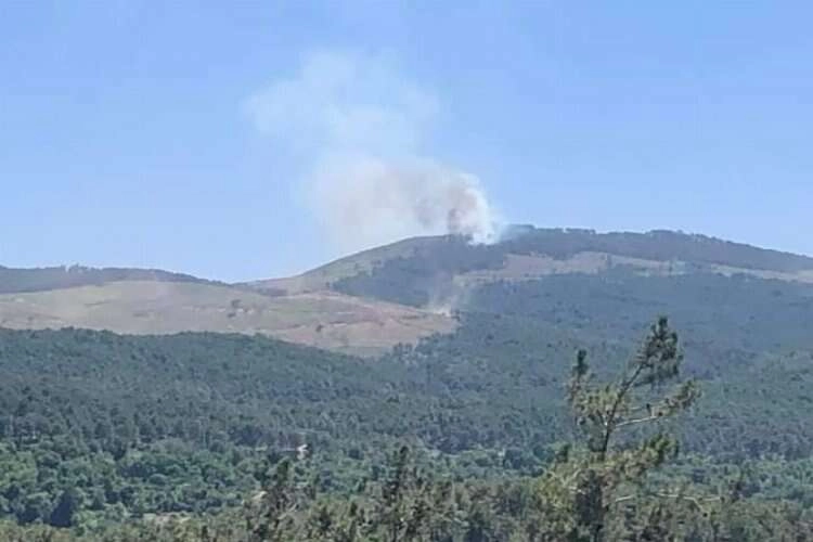 Muğla'da orman yangını: 22/07/2023 haberinin görseli