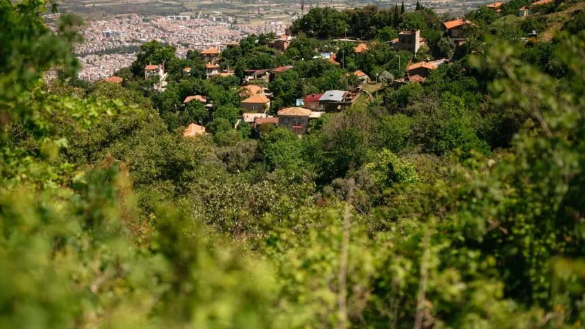 kaplan köyü