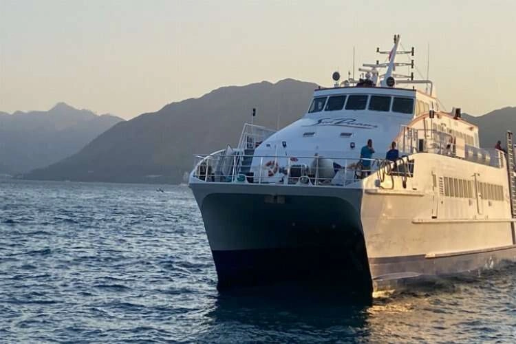 Yangınlar sebebiyle turistlerin tahliyeleri sürüyor haberinin görseli