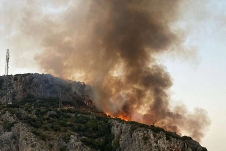Muğla'da makilik alanda korkutan yangın! haberinin görseli