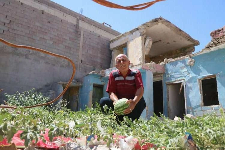 Hatay'da yıkılan evin enkaz yerinde karpuz çıktı haberinin görseli