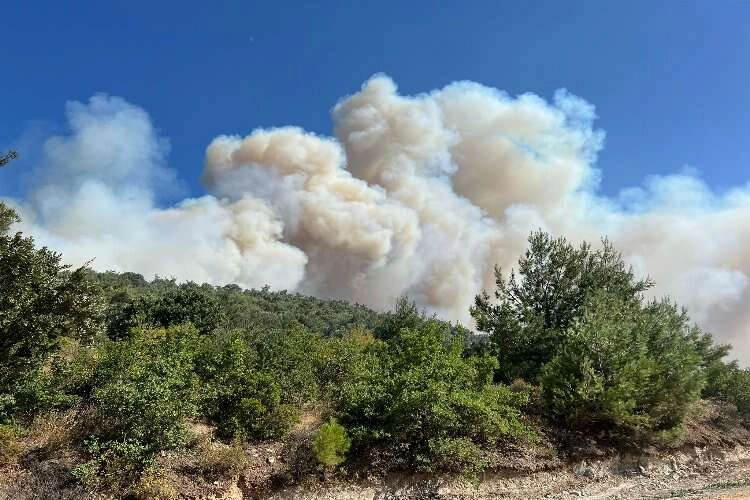 Manisa'da orman yangını: Vatandaşlar tahliye ediliyor