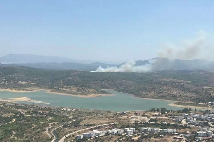 Muğla'da orman yangını: Kontrol altına alındı