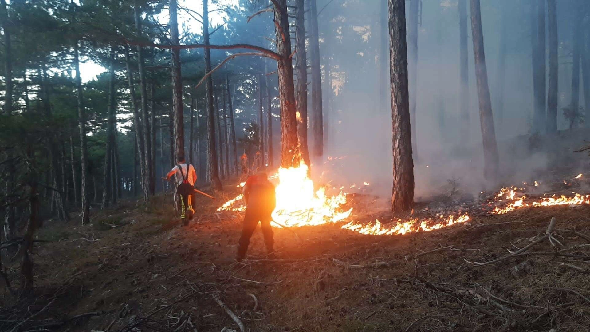 Denizli'de örtü yangını korkuttu