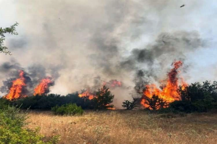 Muğla için kritik günler: 26 - 27 Temmuz dikkat! haberinin görseli