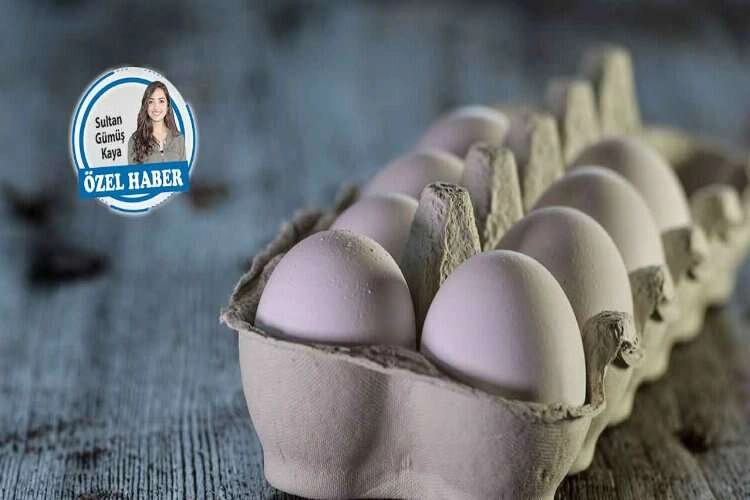 Sürpriz yumurta: İfşa listeleri 17 aydır açıklanmıyor! haberinin görseli