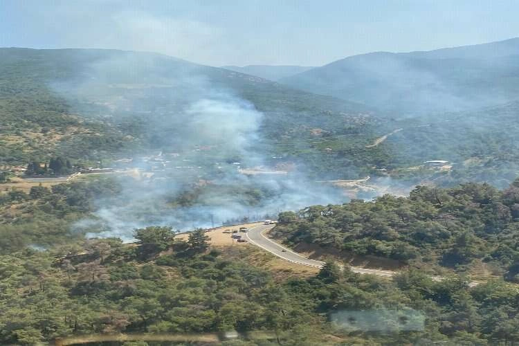İzmir'de iki orman yangını birden başladı! haberinin görseli