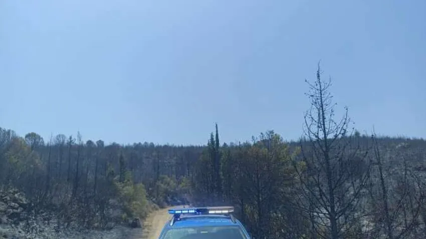 Adli kontrol_ilkses (Özel)