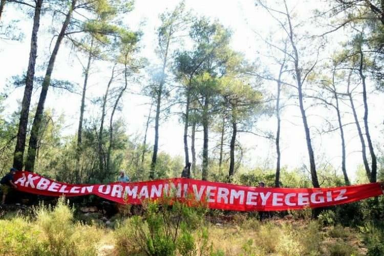 Doğa katliamına ‘dur’ de: “Diren İkizköy” haberinin görseli