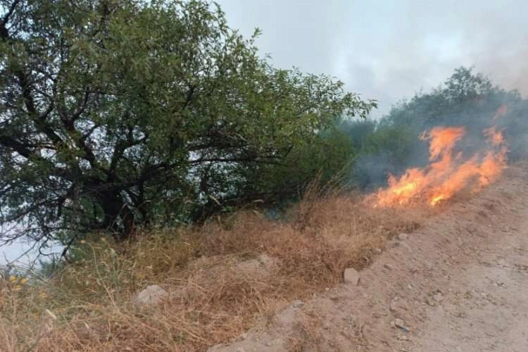 Afyonkarahisar’da orman yangını! haberinin görseli