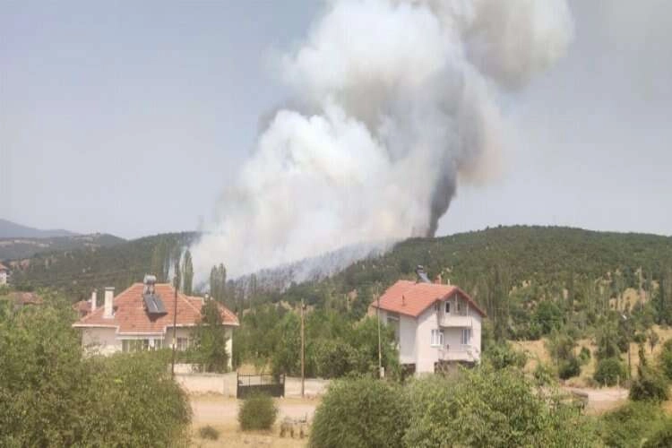 Kütahya'da orman yangını başladı!