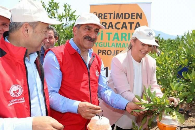 Hedefleri, narenciye ihracatında 1 milyar doları aşmak haberinin görseli