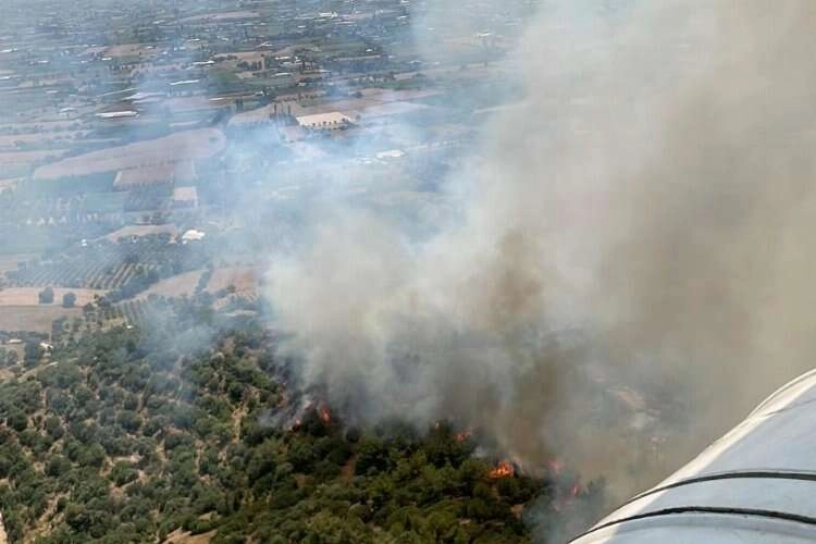 İzmir'de iki farklı noktada yangın! haberinin görseli
