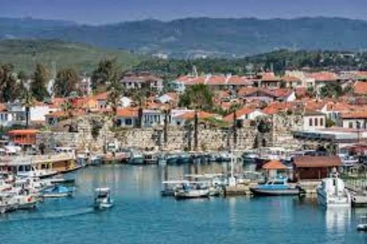 Seferihisar’da ‘ağaçların kaderi’ için kritik viraj haberinin görseli