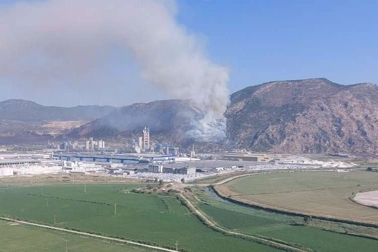 Aydın Söke’de ormanlık alanda yangın haberinin görseli