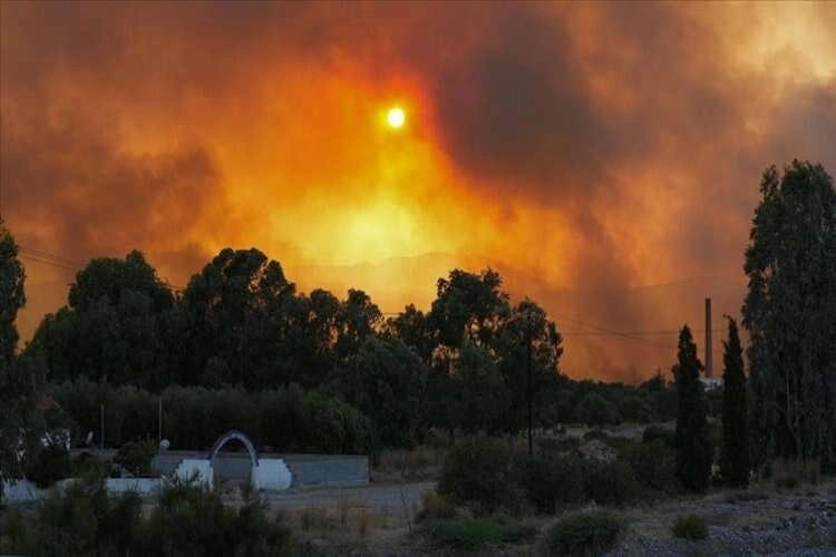 Yunanistan'da orman yangınları bitmek bilmiyor haberinin görseli