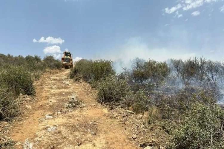 Denizli'de makilik bölgede yangın çıktı