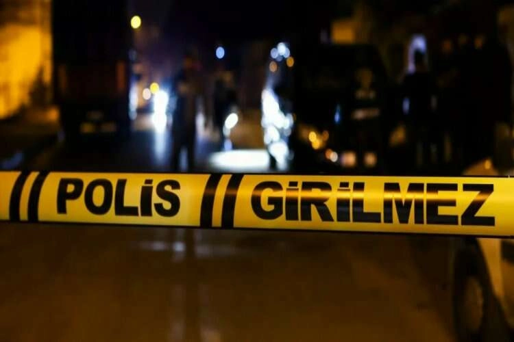 İzmir'de ağabey-kardeş dehşeti yaşattı haberinin görseli