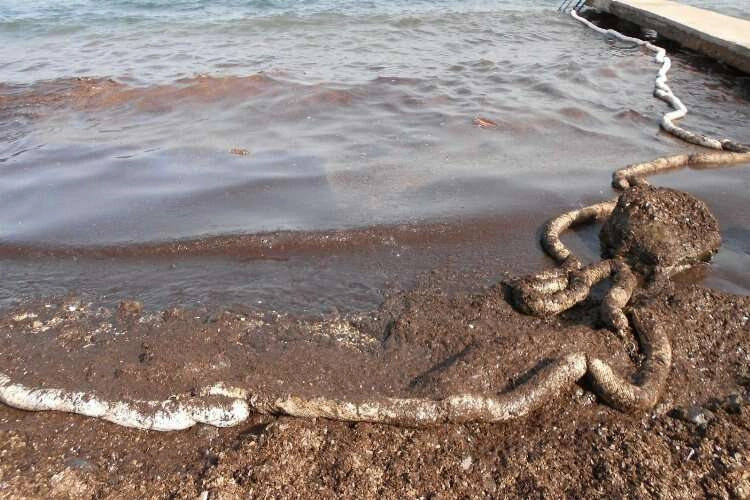 Foça sahilinde korkutan petrol atıkları