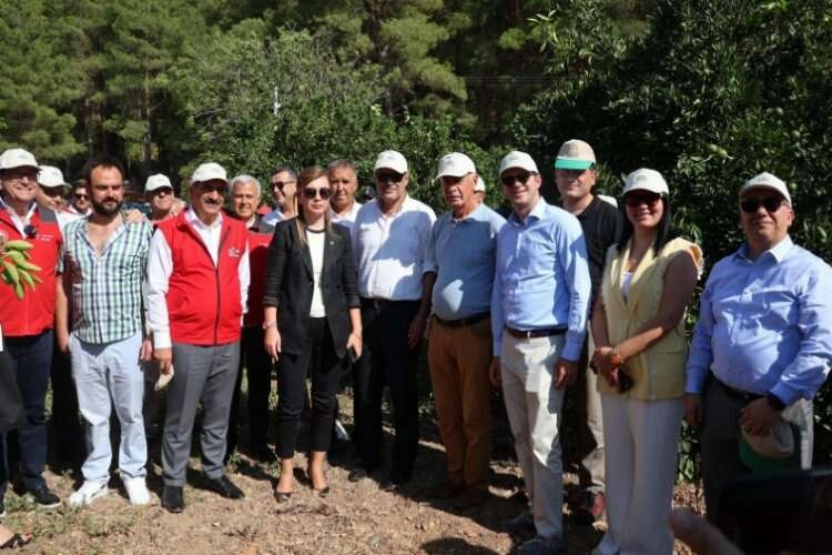 Akdeniz meyve sineğine karşı biyoteknik mücadele yaygınlaştırılıyor haberinin görseli