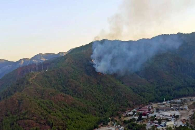 Muğla Marmaris'te orman yangını haberinin görseli
