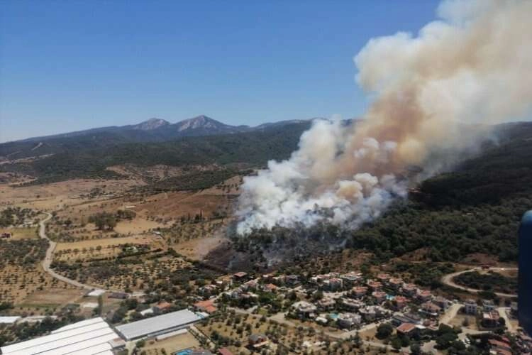 İzmir'in Güzelbahçe ilçesinde orman yangını