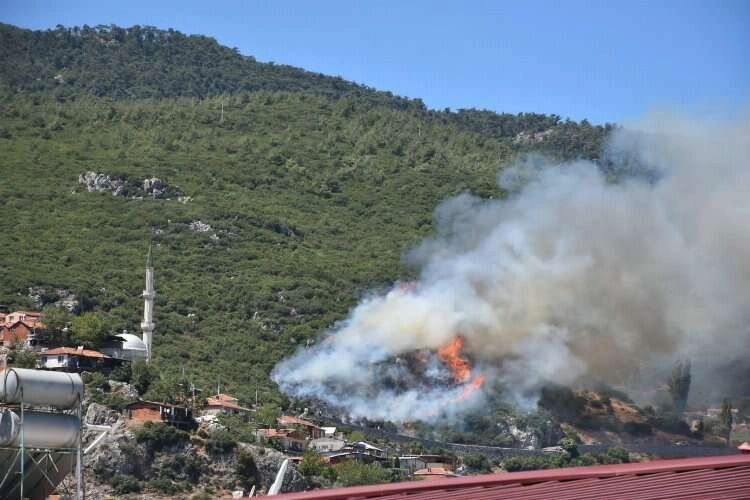 Kemalpaşa’da orman yangını çıktı