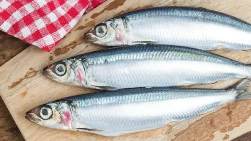 Sardalya balığı, vitamin ve mineral bakımından oldukça zengindir.  İnsan vücudunun B vitamini ihtiyacının yüzde 13'ünü temin ettiği söylenmektedir. sardalya, fosfor, kalsiyum ve potasyum gibi ana mineraller ve demir ve selenyum gibi bazı eser mineraller açısından yüksektir.