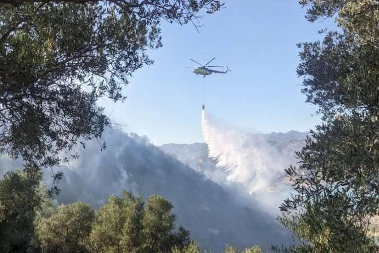 Aydın'da yangın: Müdahale devam ediyor haberinin görseli