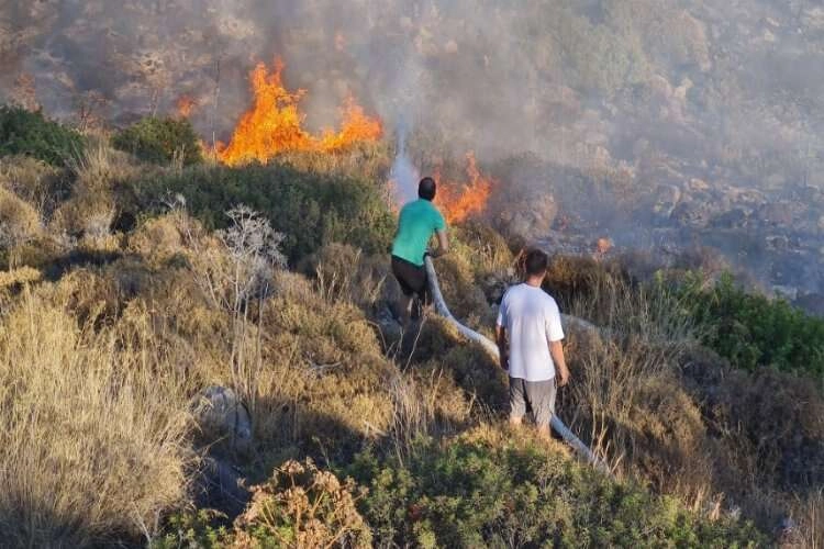 Bodrum’da bir orman küle döndü  haberinin görseli